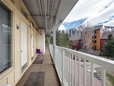 Steamboat Springs Home 927892