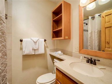 Steamboat Springs Home 927895