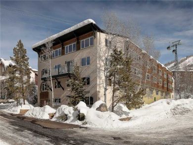 Steamboat Springs Home 927895