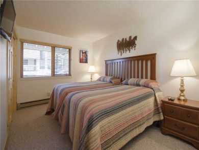 Steamboat Springs Home 927896