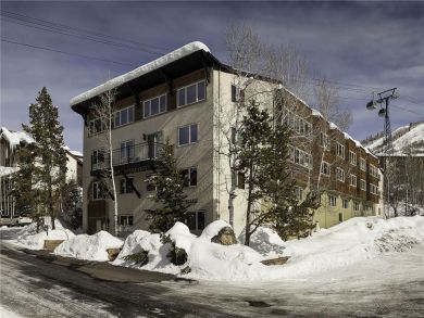 Steamboat Springs Home 927896