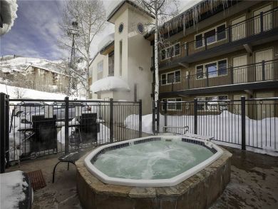 Steamboat Springs Home 927896