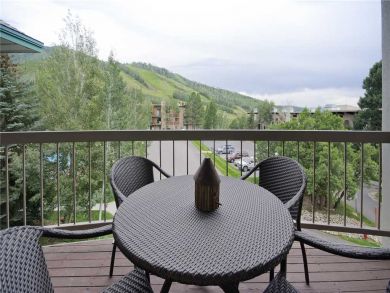 Steamboat Springs Home 927898