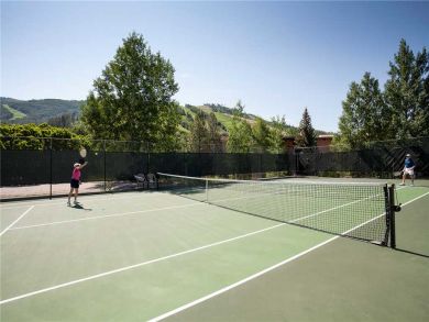 Steamboat Springs Home 927898