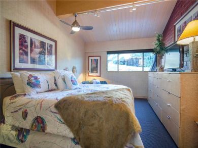 Steamboat Springs Home 927900