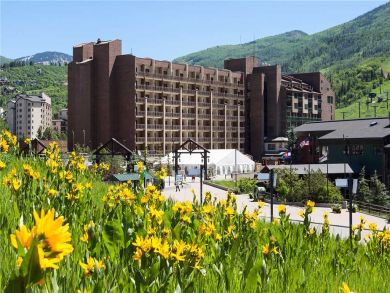 Steamboat Springs Home 927900