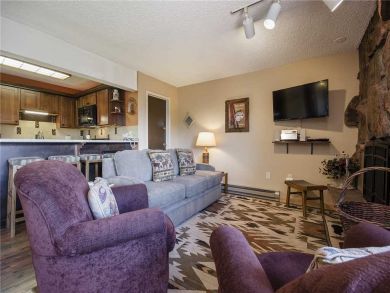 Steamboat Springs Home 927903