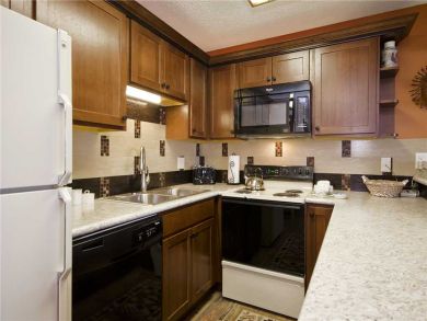 Steamboat Springs Home 927903