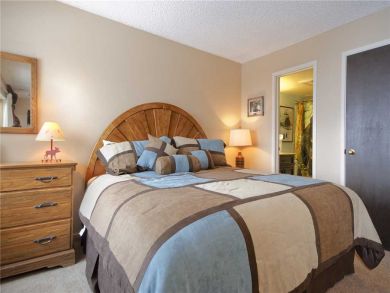 Steamboat Springs Home 927903