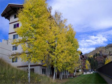 Steamboat Springs Home 927903