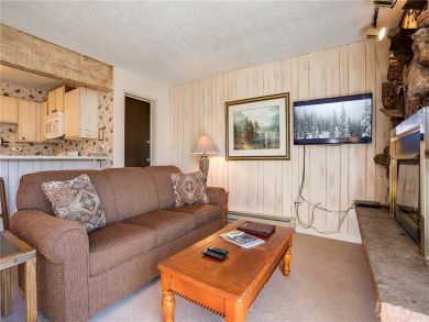 Steamboat Springs Home 927904