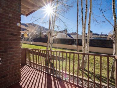 Steamboat Springs Home 927904