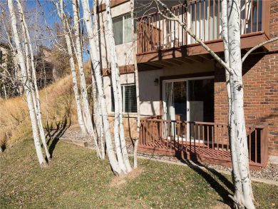 Steamboat Springs Home 927904