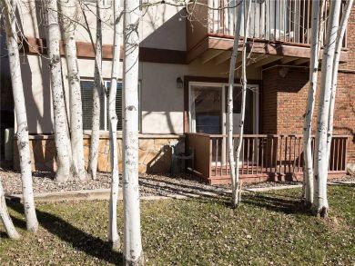 Steamboat Springs Home 927904