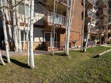 Steamboat Springs Home 927904