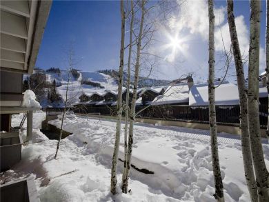 Steamboat Springs Home 927904