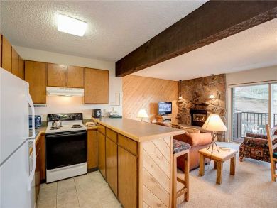 Steamboat Springs Home 927905