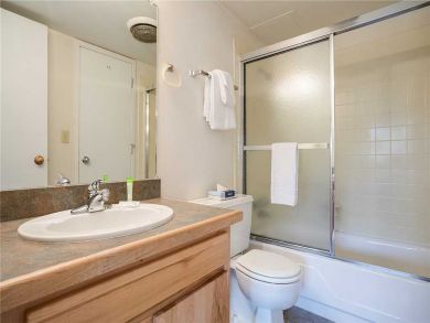 Steamboat Springs Home 927905