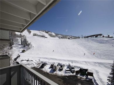 Steamboat Springs Home 927905