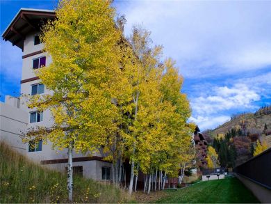 Steamboat Springs Home 927908