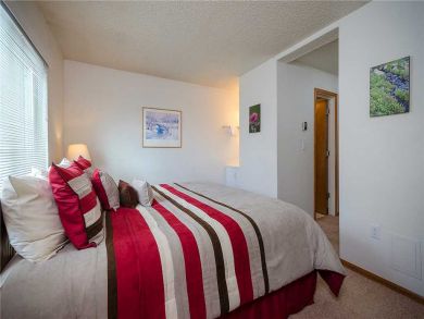 Steamboat Springs Home 927910