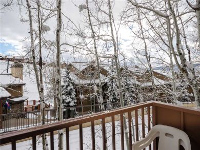Steamboat Springs Home 927910