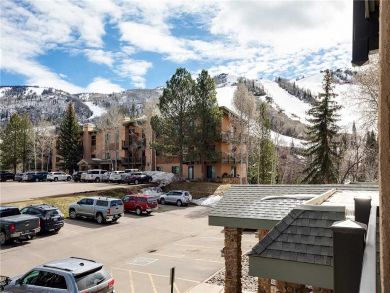 Steamboat Springs Home 927914 Steamboat Springs Home 927914