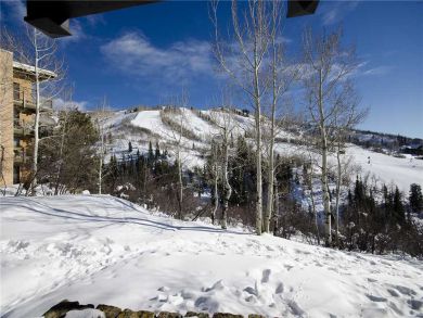 Steamboat Springs Home 927917
