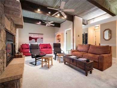 Steamboat Springs Home 927920