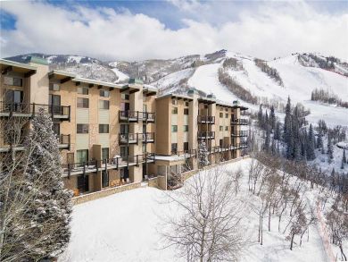 Steamboat Springs Home 927920