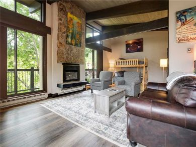 Steamboat Springs Home 927921