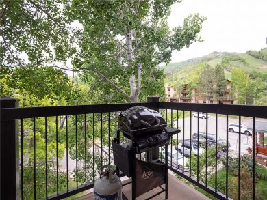 Steamboat Springs Home 927921