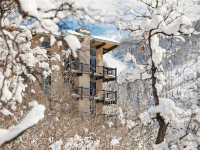 Steamboat Springs Home 927921