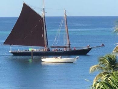 2 Bedrooms St. Croix Vacation Condo Plus Den Sleeps 6 Guests