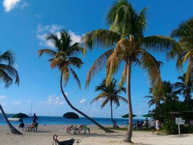 2 Bedrooms St. Croix Vacation Condo Plus Den Sleeps 6 Guests