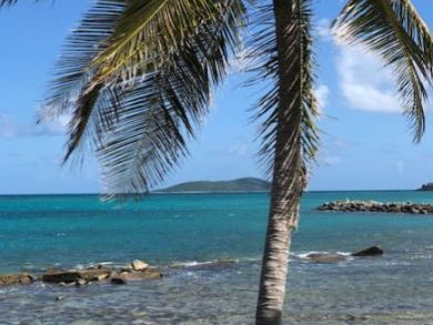 2 Bedrooms St. Croix Vacation Condo Plus Den Sleeps 6 Guests