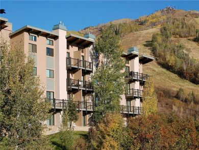 Steamboat Springs Home 927928 Steamboat Springs Home 927928