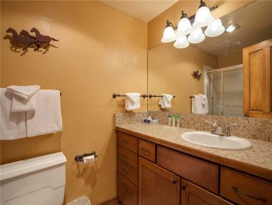 Steamboat Springs Home 927929