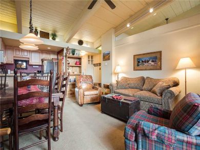 Steamboat Springs Home 927933