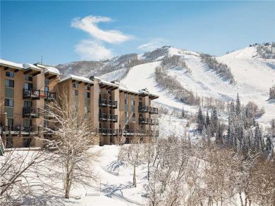 Steamboat Springs Home 927933