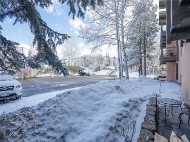 Steamboat Springs Home 927935