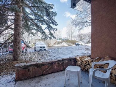 Steamboat Springs Home 927935