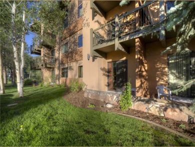 Steamboat Springs Home 927937
