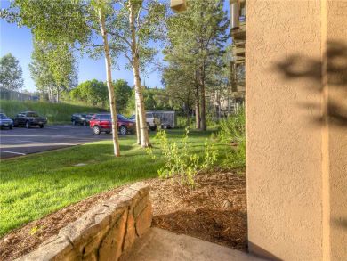 Steamboat Springs Home 927937