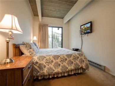 Steamboat Springs Home 927938