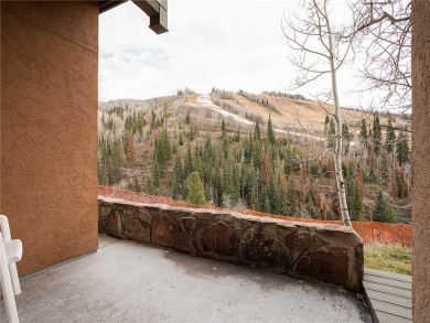 Steamboat Springs Home 927938