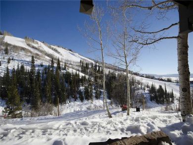 Steamboat Springs Home 927938