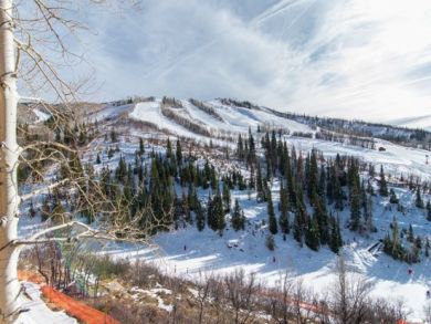 Steamboat Springs Home 927939