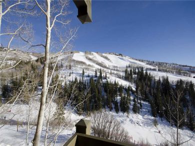 Steamboat Springs Home 927940