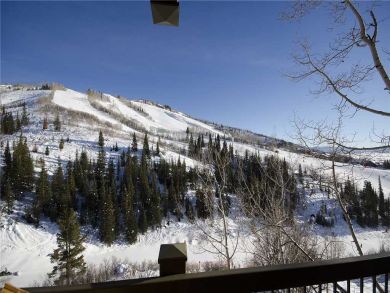 Steamboat Springs Home 927941
